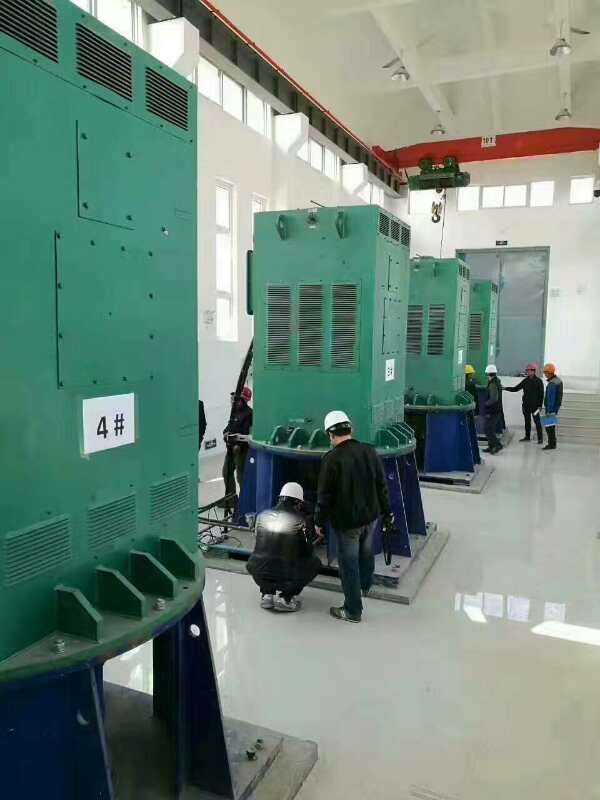 新邵某污水处理厂使用我厂的立式高压电机安装现场